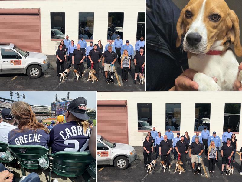 Pronto Pest Management