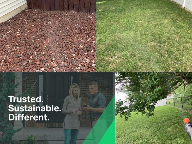 Greenix Pest Control