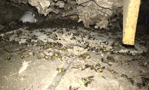 C & S Services 750 N Lake George Rd, Attica Michigan 48412