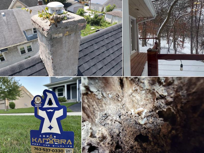 Abra Kadabra Environmental Services