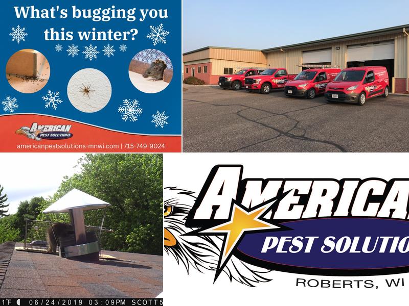 American Pest Solutions