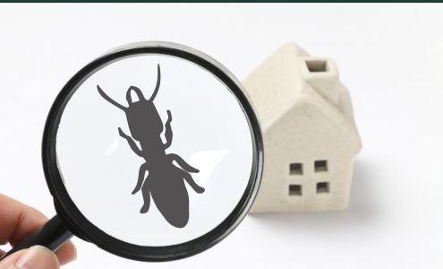 Henderson Pest Control 6770 Co Rd 825, Blue Mountain Mississippi 38610