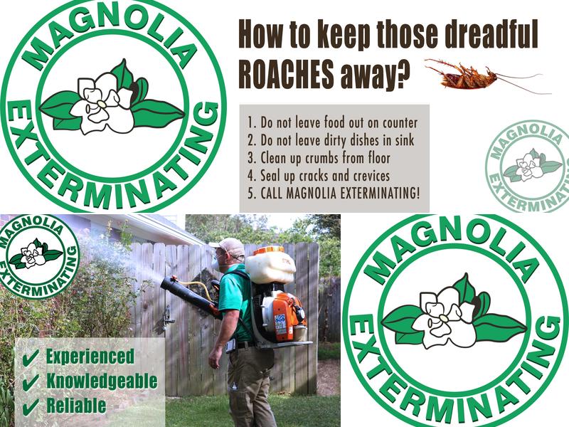 Magnolia Exterminating