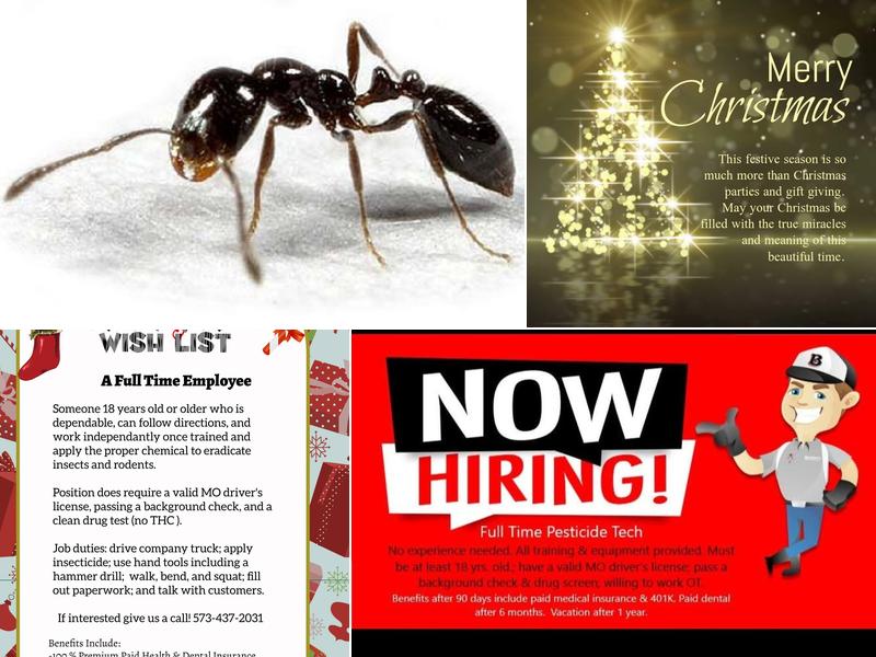 Havener Termite & Insect Control