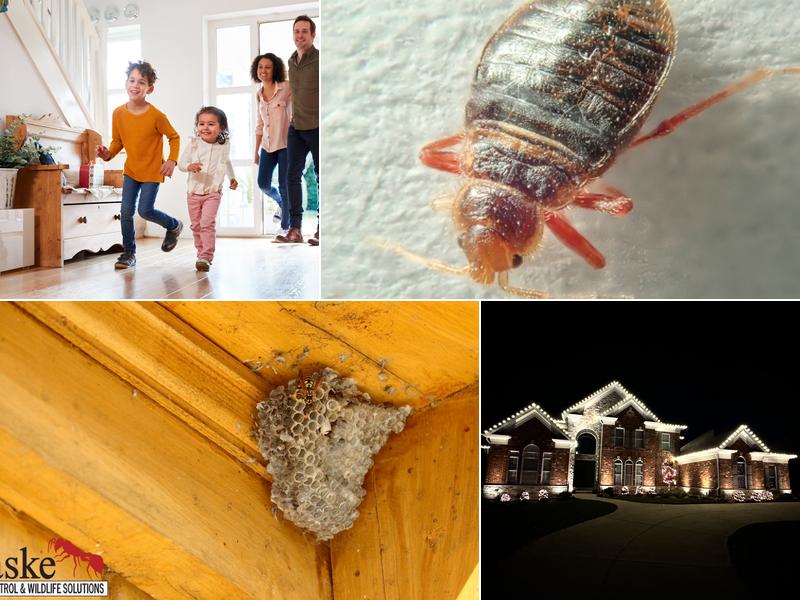 Paske Pest Control & Wildlife Solutions