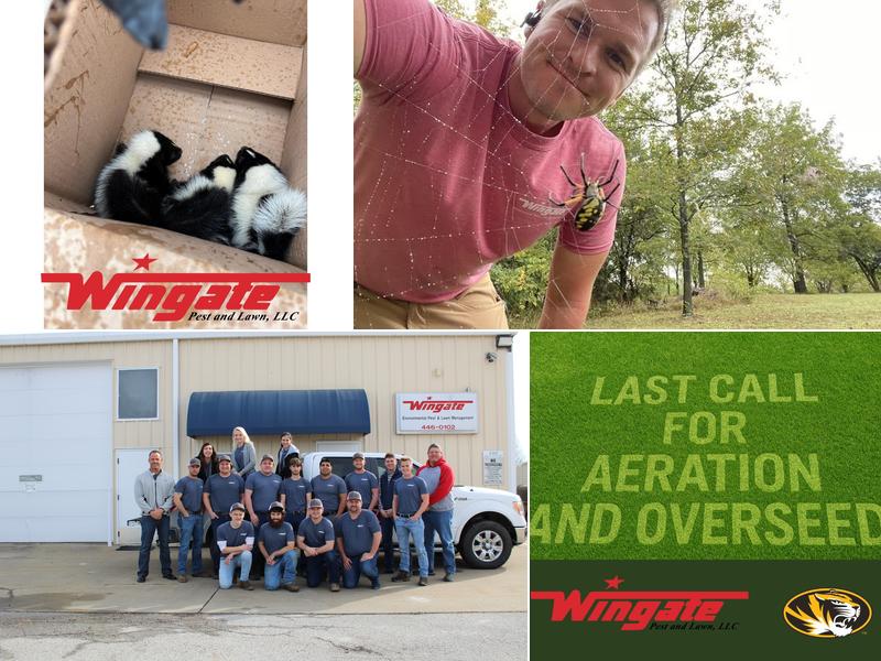 Wingate Pest and Lawn, LLC