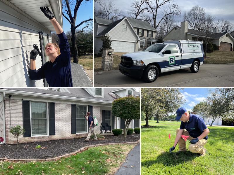 Rottler Pest Solutions