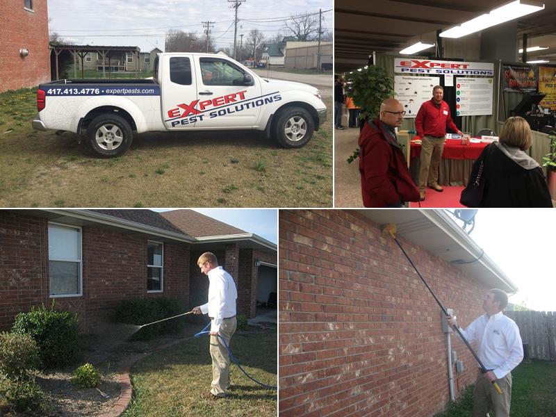 Expert Pest Control Solutions