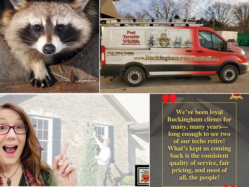 Buckingham Pest Control