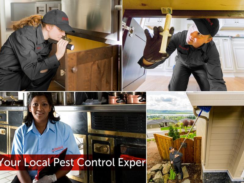 Presto-X Pest Control