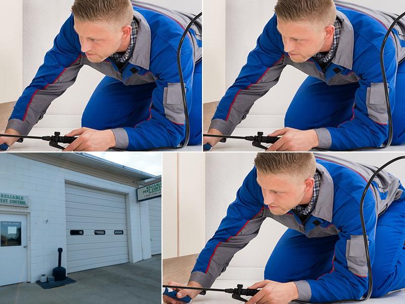 Reliable Pest Control Services Inc