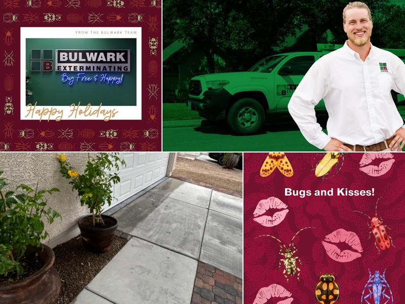 Bulwark Exterminating