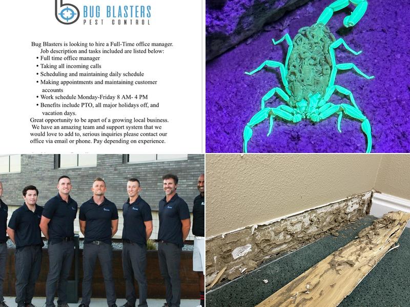 Bug Blasters Pest Control