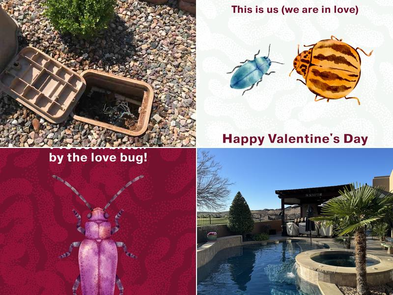 Bulwark Exterminating