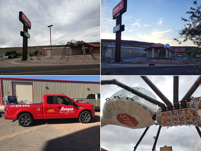 Morgan Termite and Pest Control