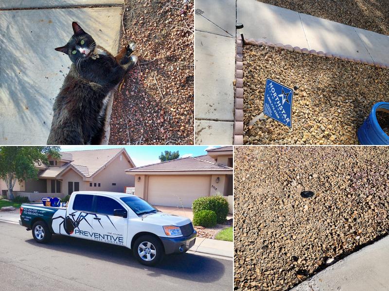 Preventive Pest Control St. George