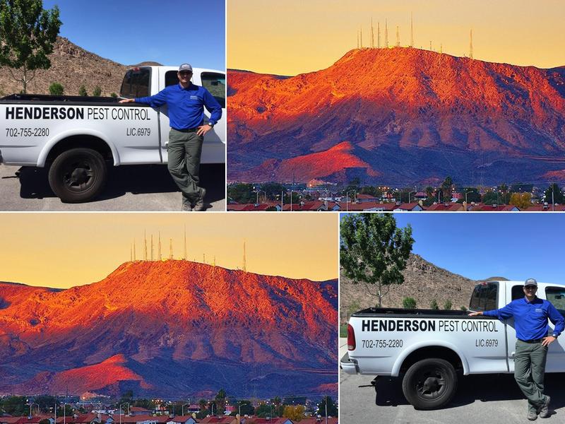 Henderson Pest Control