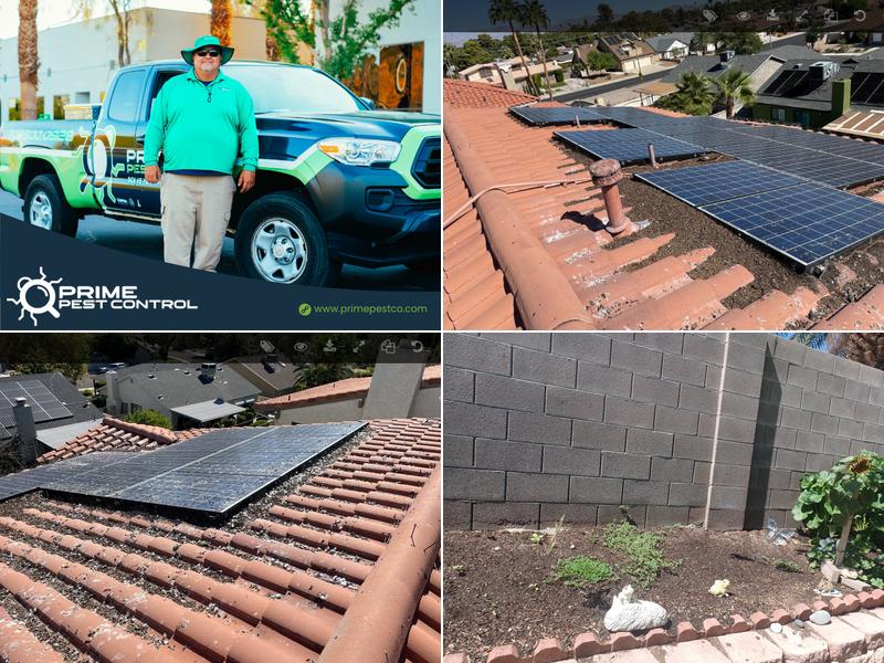 Prime Pest Control of Nevada