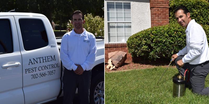 Anthem Pest Control