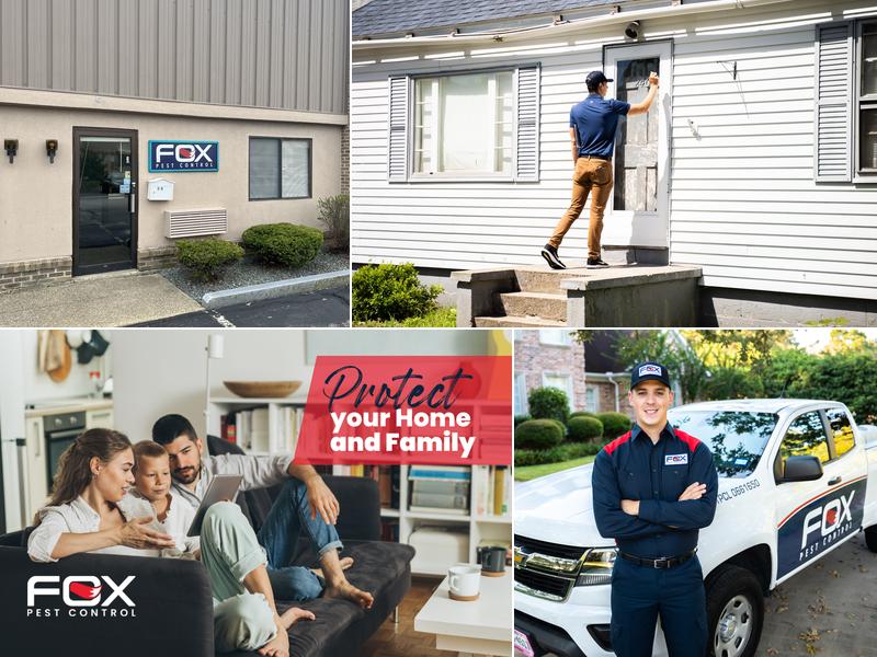 Fox Pest Control - Manchester