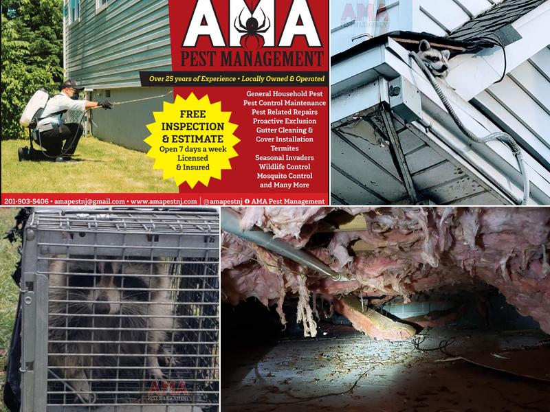 AMA Pest and Wildlife Control