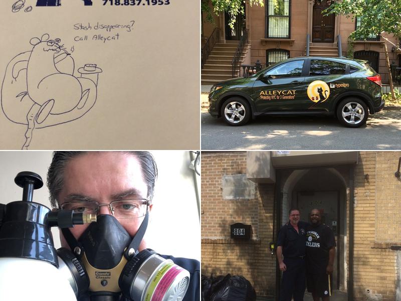 Alley Cat Exterminating Co Inc