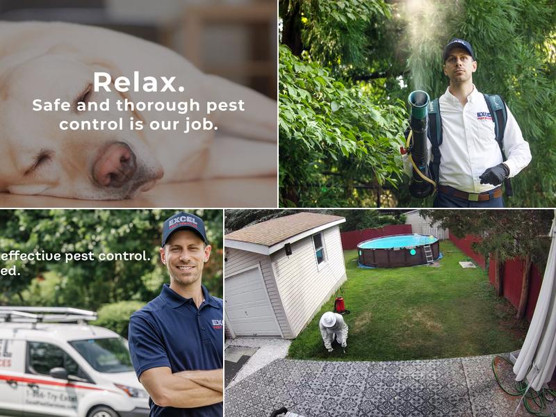 Excel Pest Services