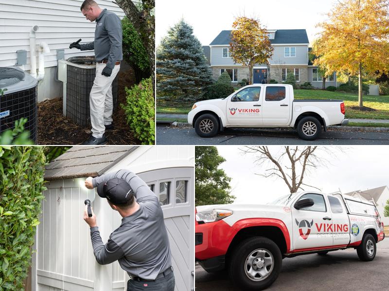 Viking Pest Control