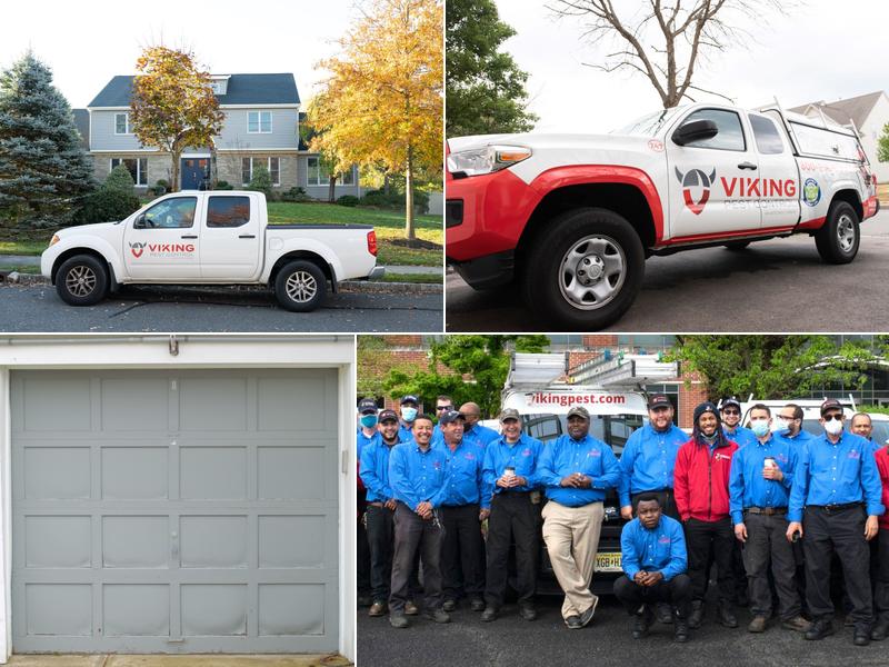 Viking Pest Control