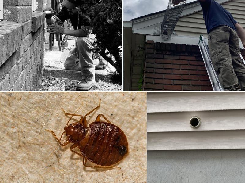 Bugaboo Pest Control