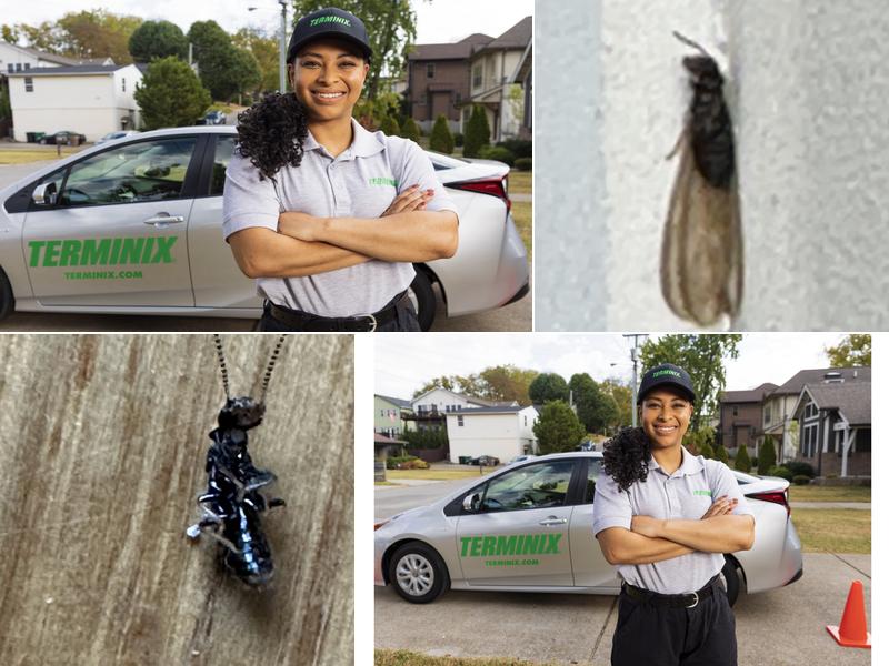 Terminix