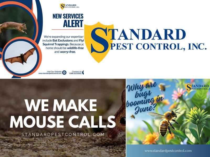 Standard Pest Control