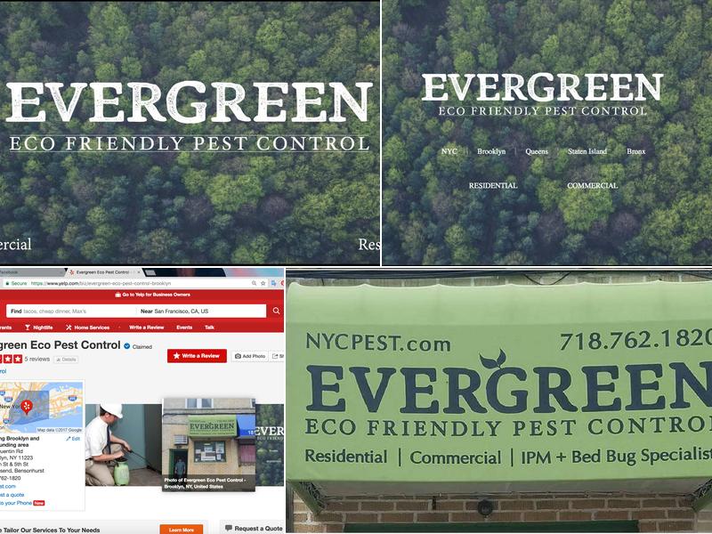 Evergreen Eco Pest Control