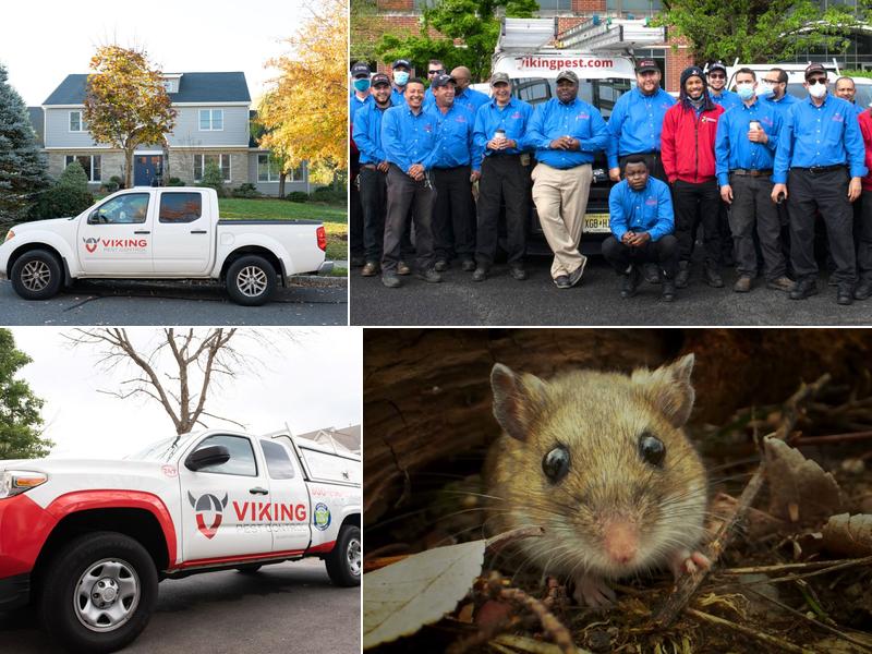 Viking Pest Control