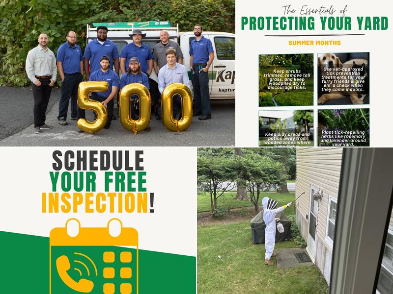 Kapture Pest Control