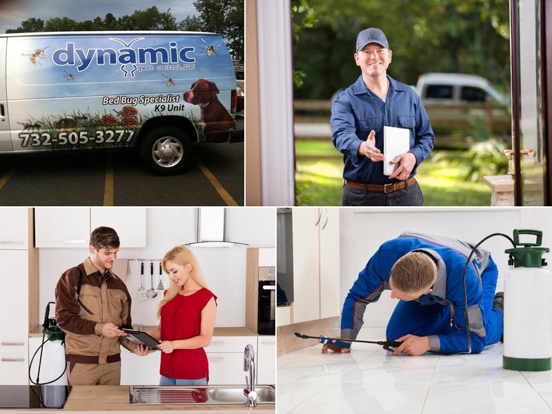 Dynamic Pest Control LLC