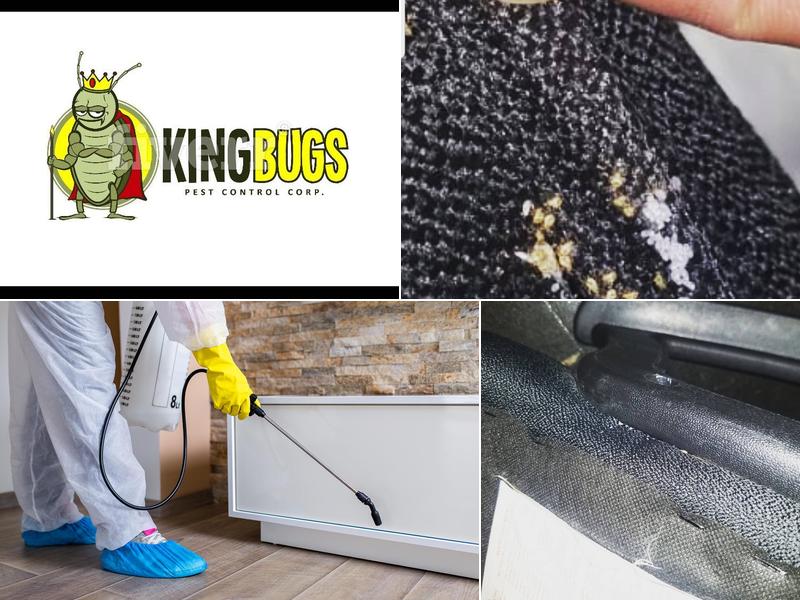 King Bugs Pest Control, Corp.