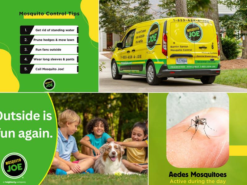 Mosquito Joe of Wayne