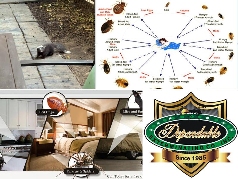 Dependable Exterminating Co., Inc.