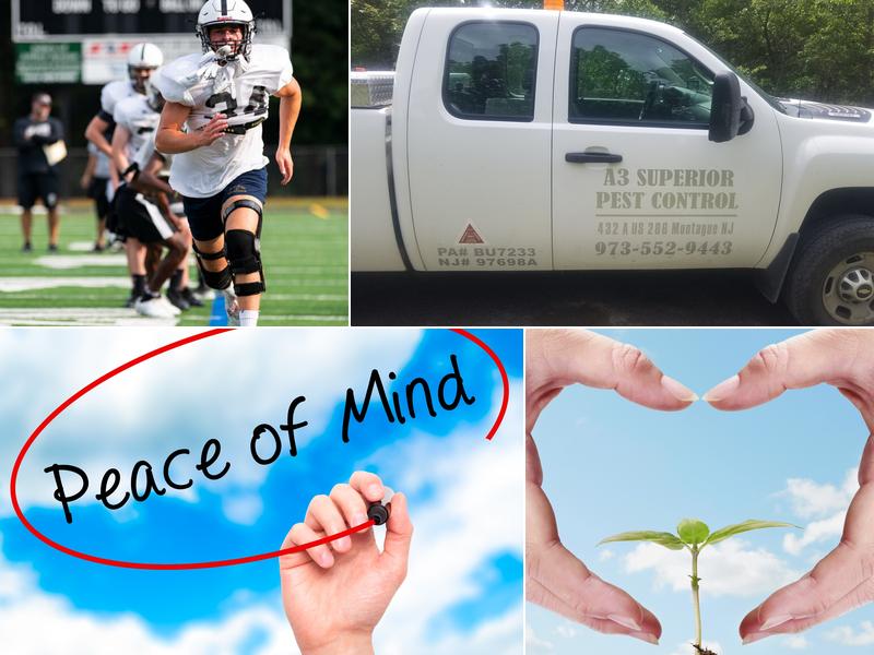 A3 Superior Pest Control
