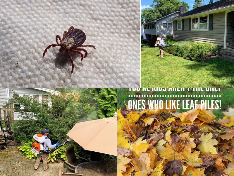 Backyard Bug Busters