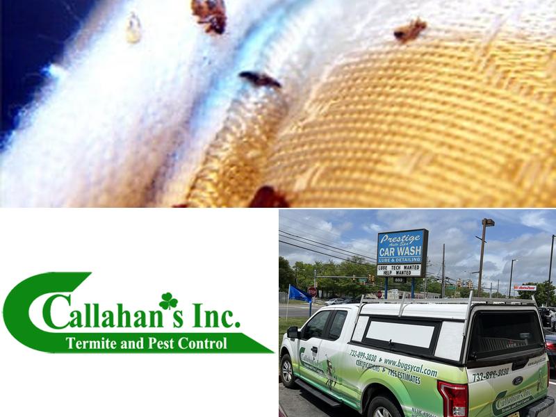 Callahan's Termite & Pest Control Inc