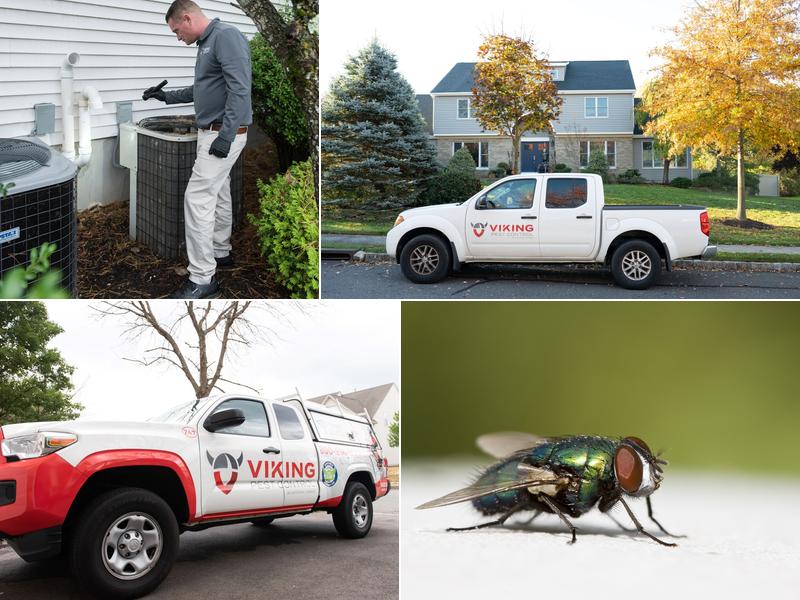 Viking Pest Control