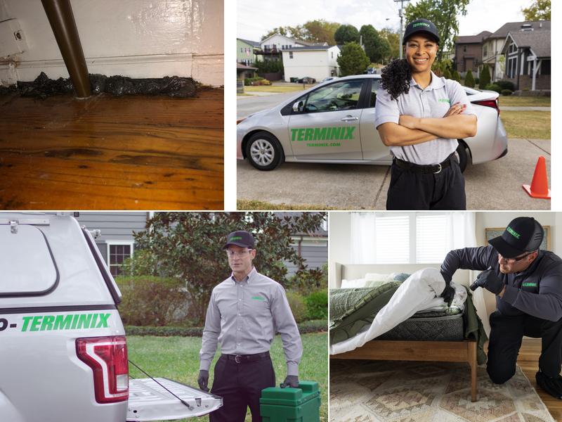 Terminix
