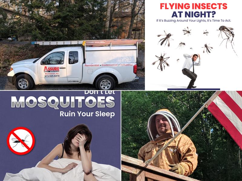 Assure Pest Services