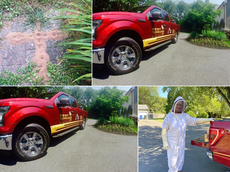 Pest Technologies Inc