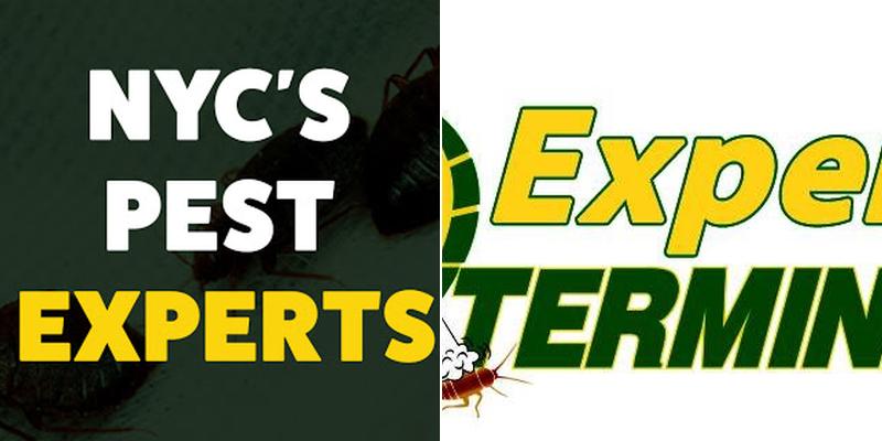 Expert Exterminating Inc.