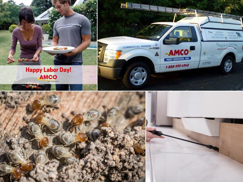 Amco Pest Services, Inc.