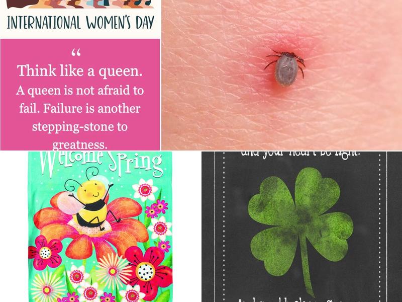 Hunter Pest Services