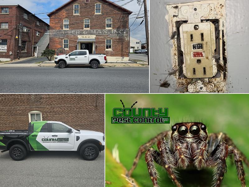 County Pest Control